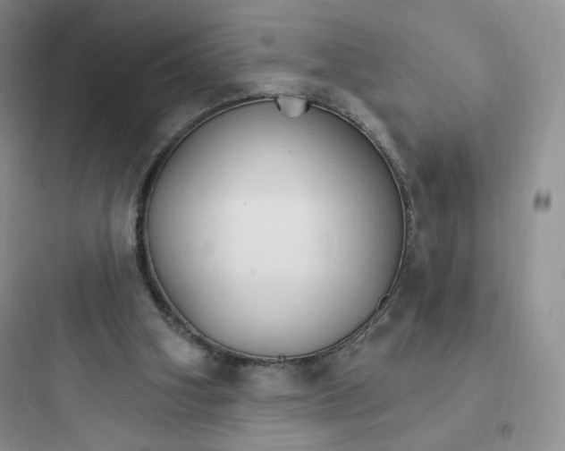 X0000097670106200803211952