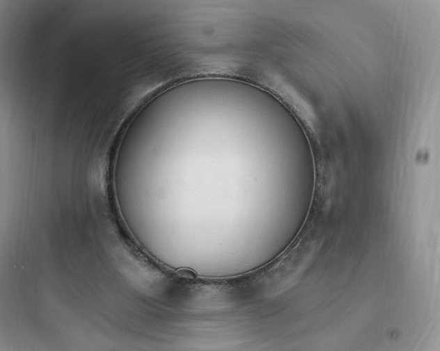 X0000097670107200803211952