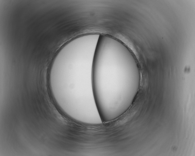 X0000097670109200803211952