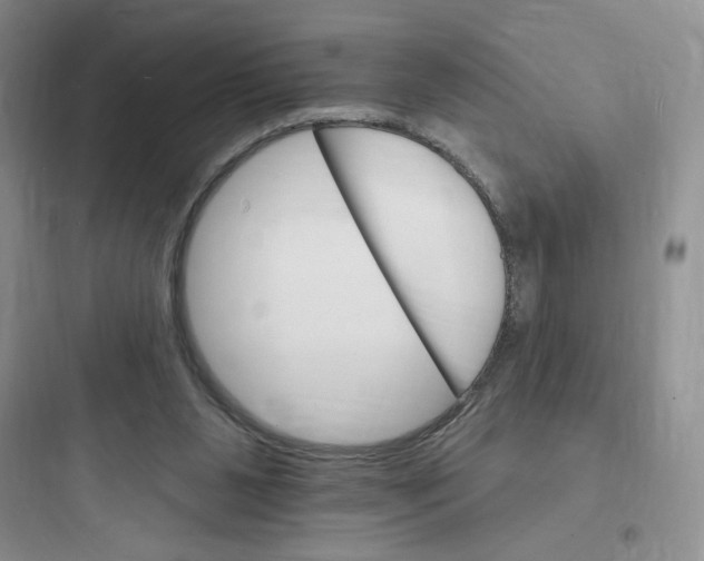 X0000097670111200803211952