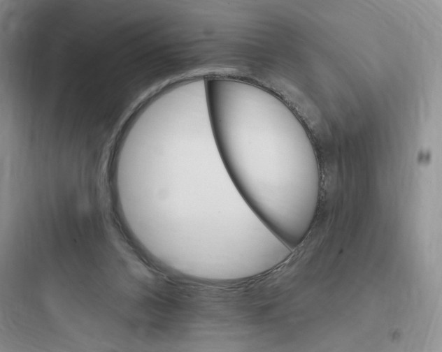 X0000097670112200803211952