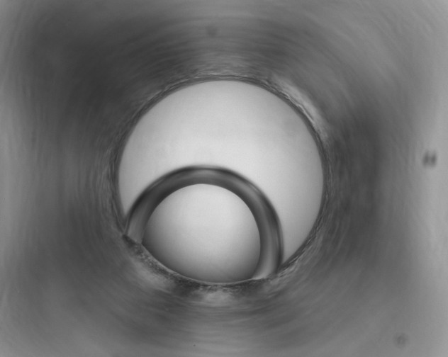 X0000097670113200803211952