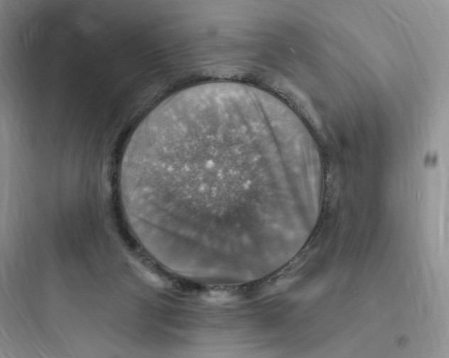 X0000097670114200803211952