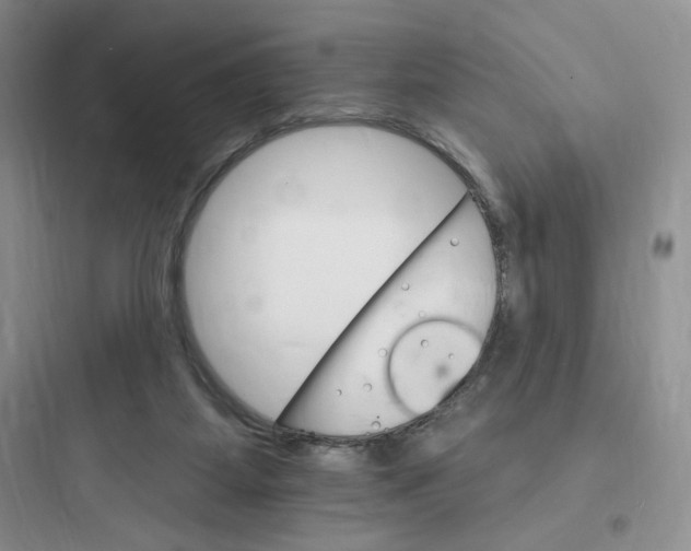 X0000097670115200803211952