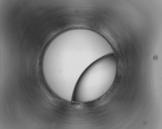 X0000097670116200803211952