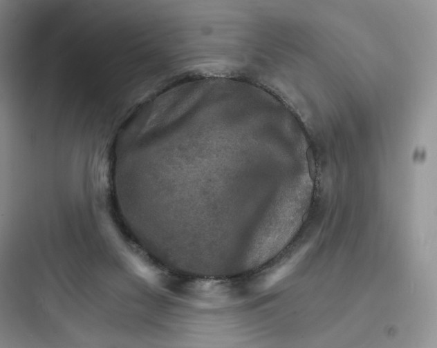 X0000097670117200803211952