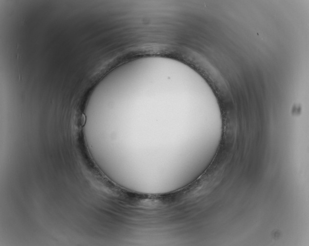X0000097670119200803211952