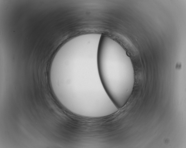 X0000097670120200803211952