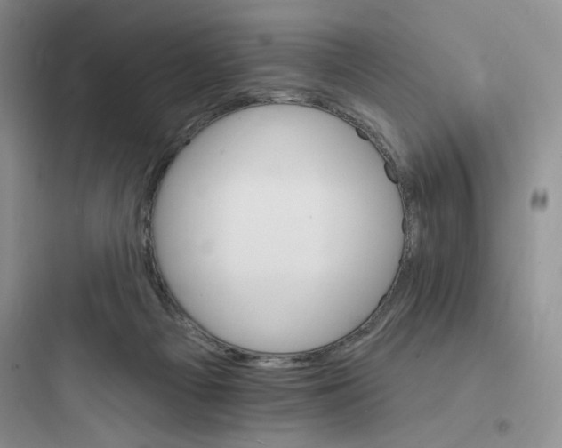 X0000097670121200803211952