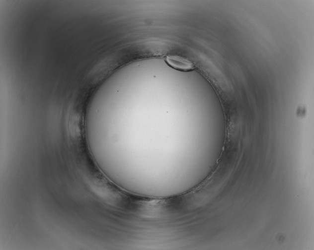 X0000097670122200803211952