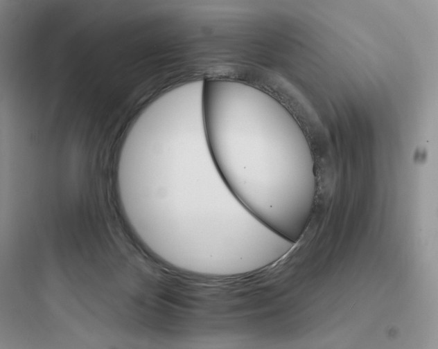 X0000097670124200803211952
