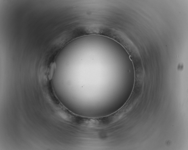 X0000097670125200803211952