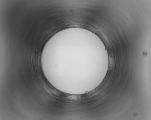 X0000097670126200803211952