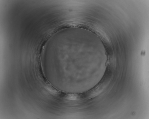 X0000097670127200803211952
