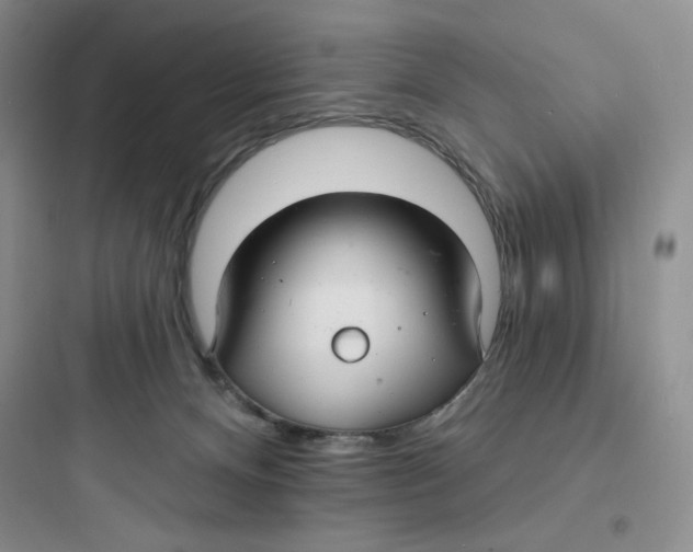 X0000097670128200803211952