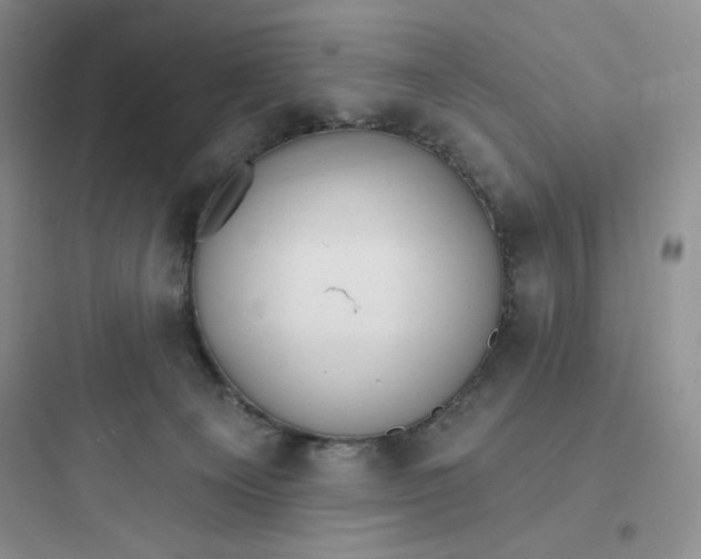 X0000097670129200803211952