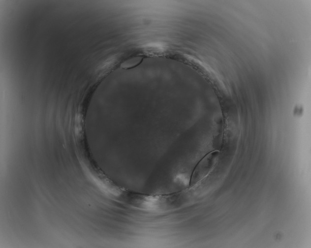 X0000097670130200803211952