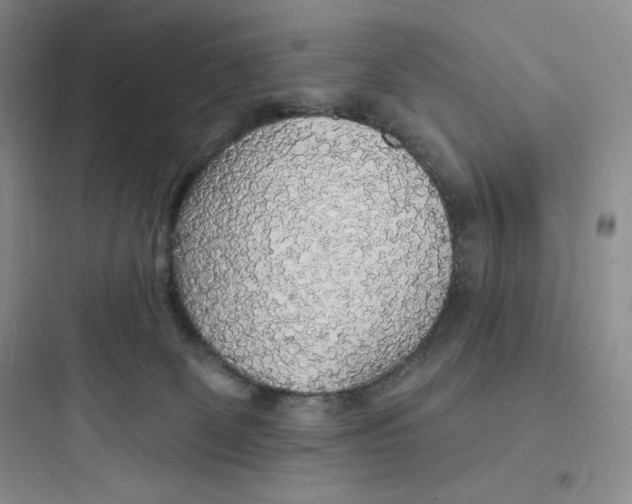 X0000097670131200803211952