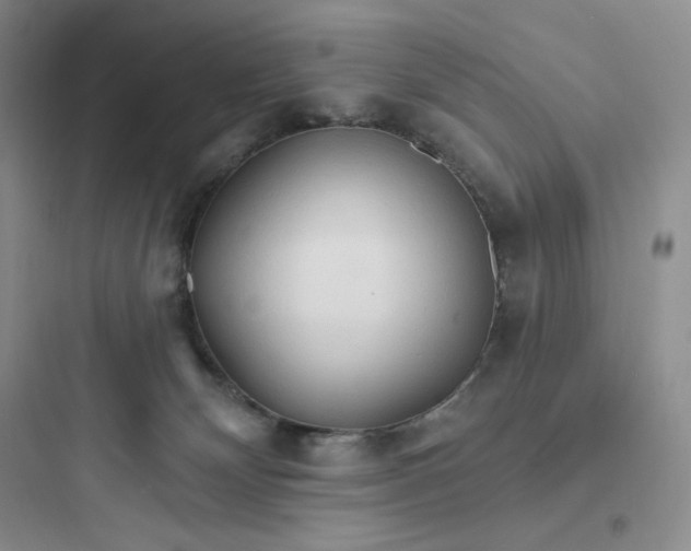 X0000097670132200803211952