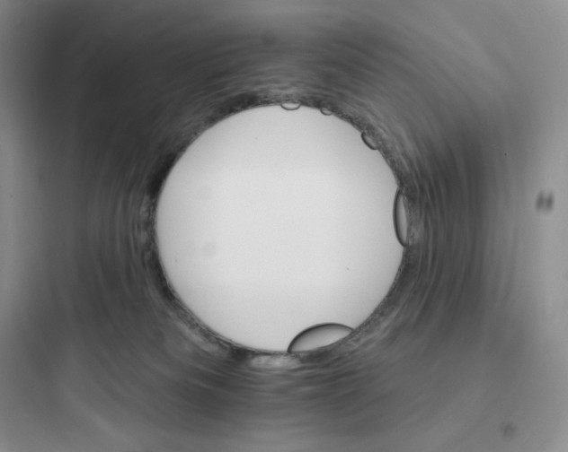 X0000097670133200803211952