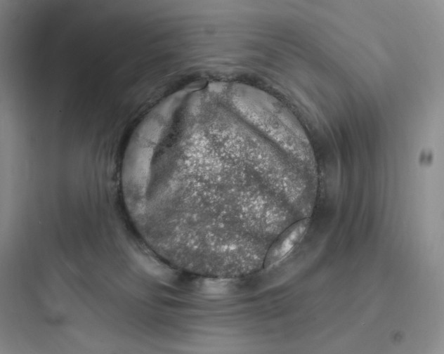 X0000097670134200803211952
