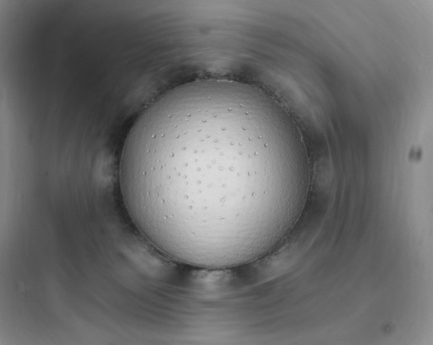 X0000097670135200803211951