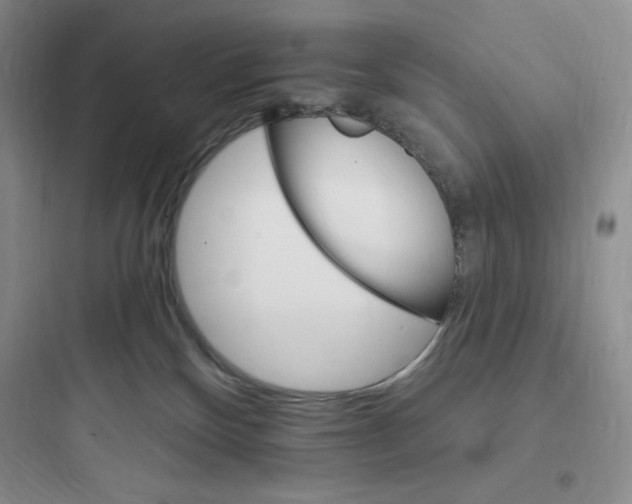 X0000097670136200803211951