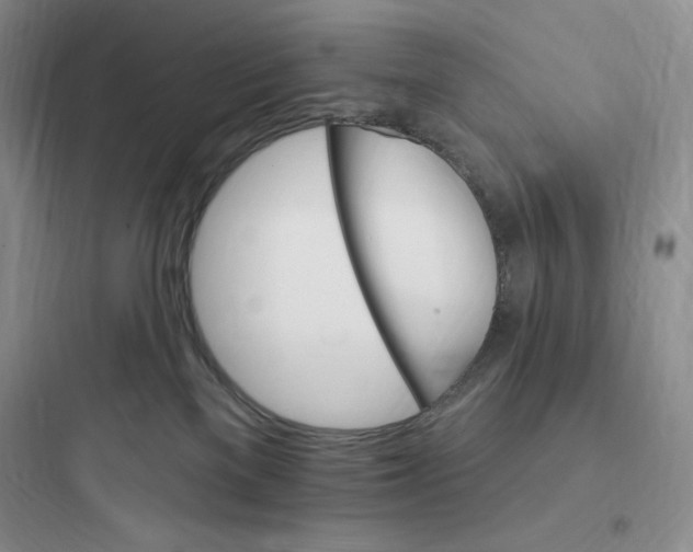 X0000097670137200803211951