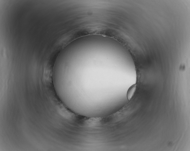 X0000097670138200803211951