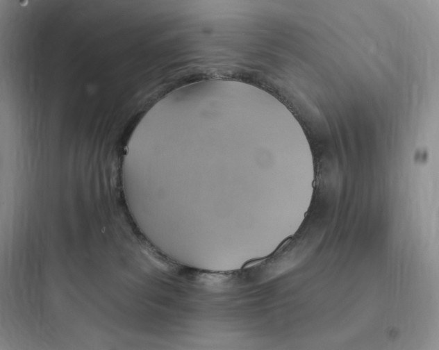 X0000097670139200803211951