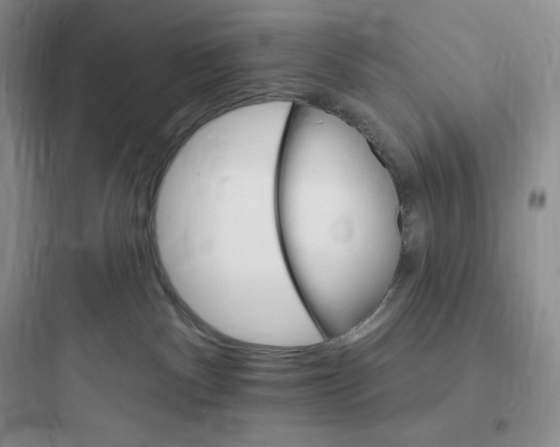 X0000097670140200803211951