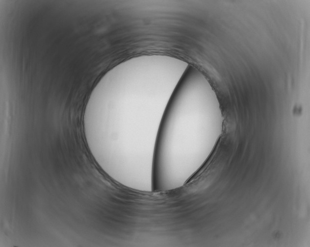 X0000097670141200803211951