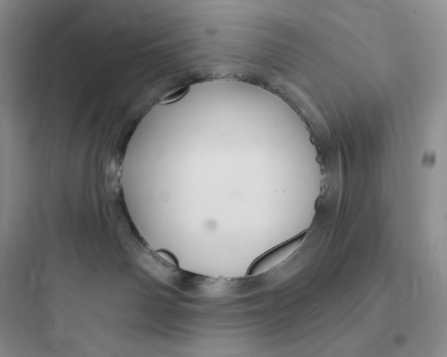 X0000097670142200803211951