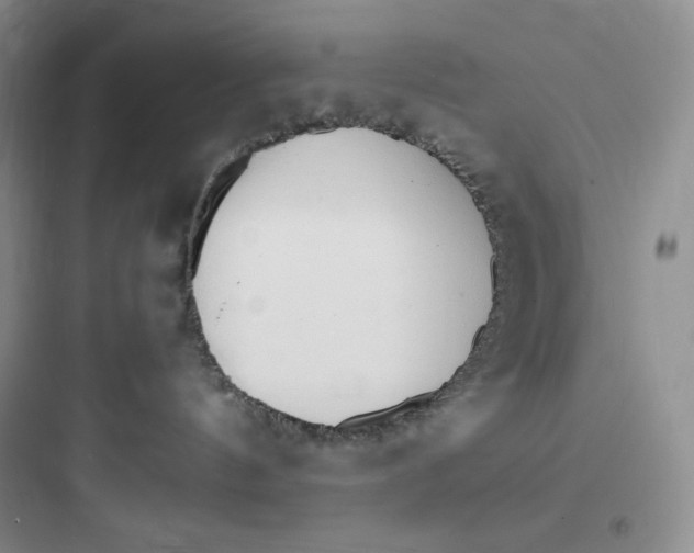 X0000097670144200803211951