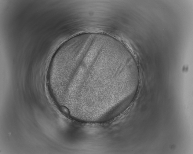 X0000097670145200803211951
