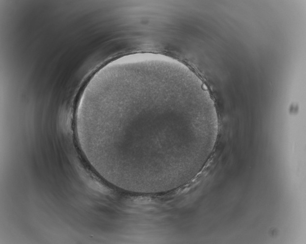 X0000097670146200803211951