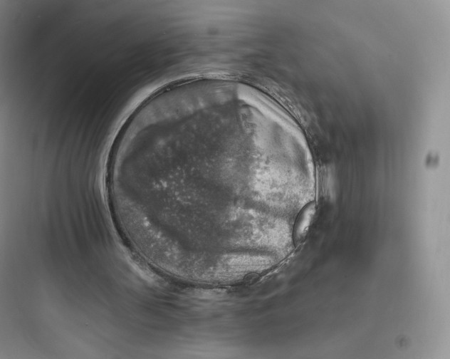 X0000097670147200803211951