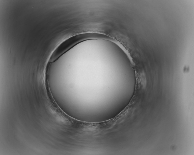 X0000097670148200803211951