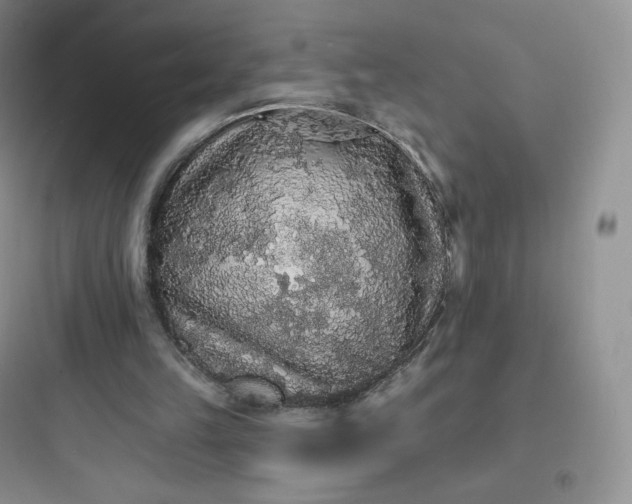X0000097670149200803211951