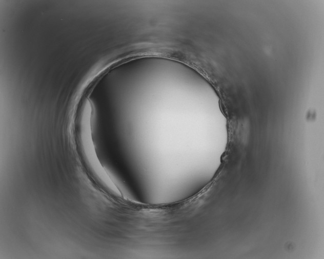 X0000097670150200803211951