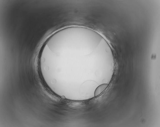 X0000097670151200803211951