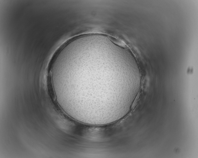 X0000097670152200803211951