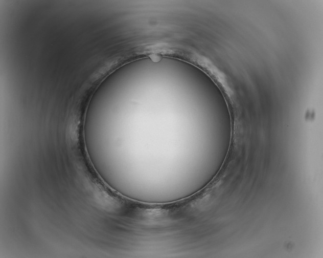X0000097670153200803211951