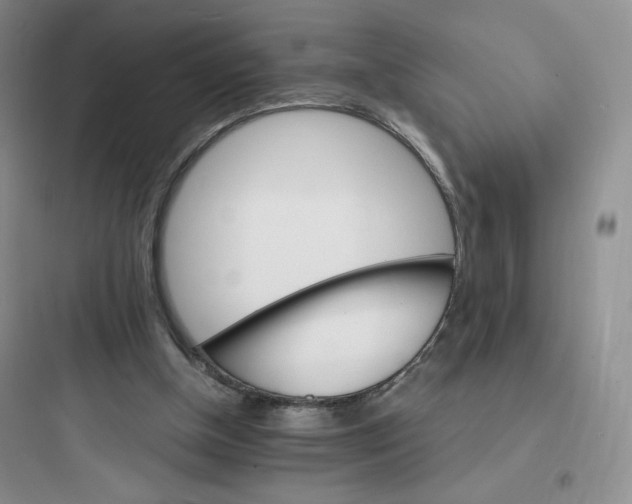 X0000097670154200803211951