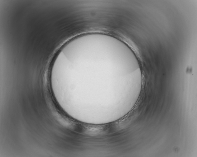 X0000097670155200803211951