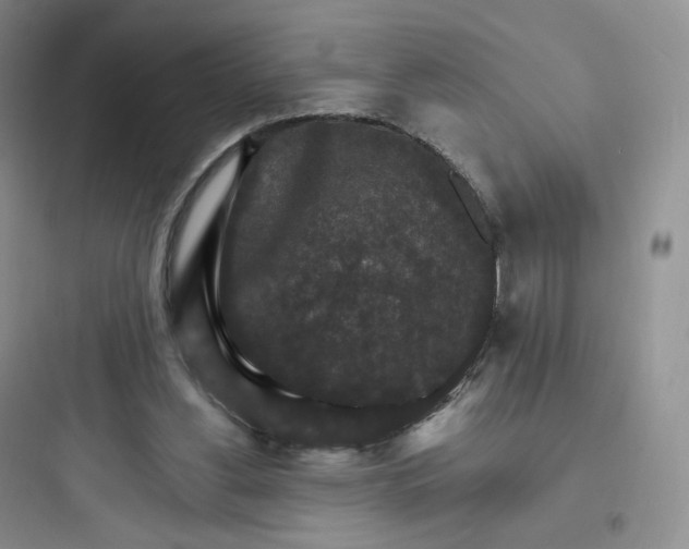 X0000097670156200803211951