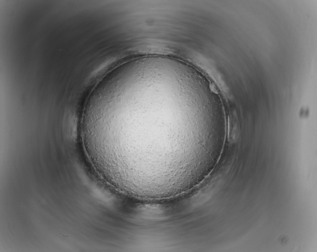 X0000097670157200803211951