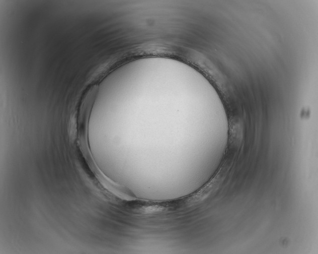 X0000097670158200803211951