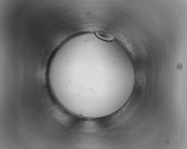 X0000097670159200803211951