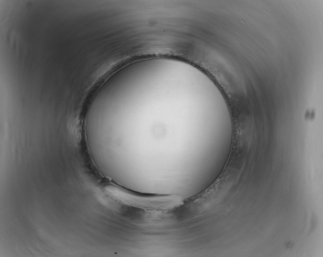 X0000097670160200803211951